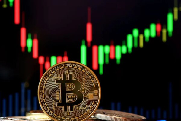 Bitcoin s Bull Market Momentum: What PlanB Predicts for 2025 Bitcoin s Unexpected Stability: A Local Analysis Amidst Trade Turmoil
