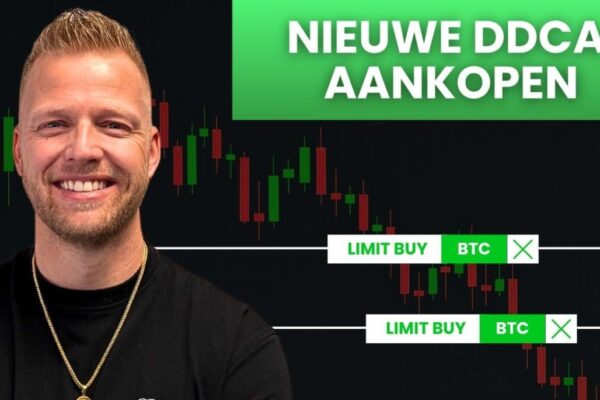 Navigating Bitcoin s Decline: Strategies for Local Investors