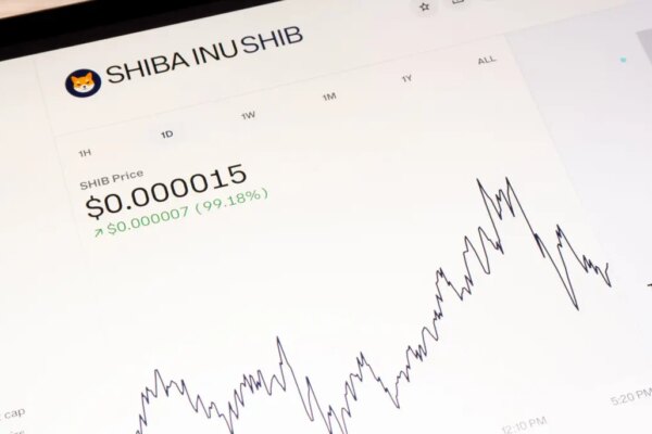 Shiba Inu s Rollercoaster Ride: What Local Investors Should Know Shiba Inu s Rollercoaster Ride: What Local Investors Should Know