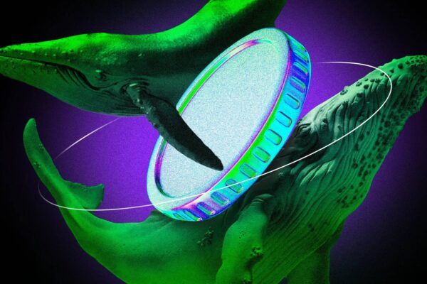 Local Crypto Whales Accumulate Dogecoin, Avalanche, and Quant Ahead of June Rally