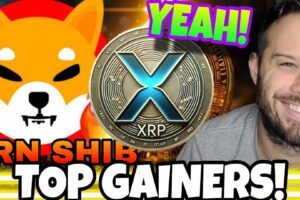 Local Crypto Enthusiasts Buzzing Over Shiba Inu and XRP as Market Revives