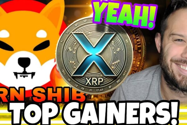 Local Crypto Enthusiasts Buzzing Over Shiba Inu and XRP as Market Revives
