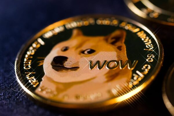 "Dogecoin s Future: Can it Rebound Amid Economic Pressures?"