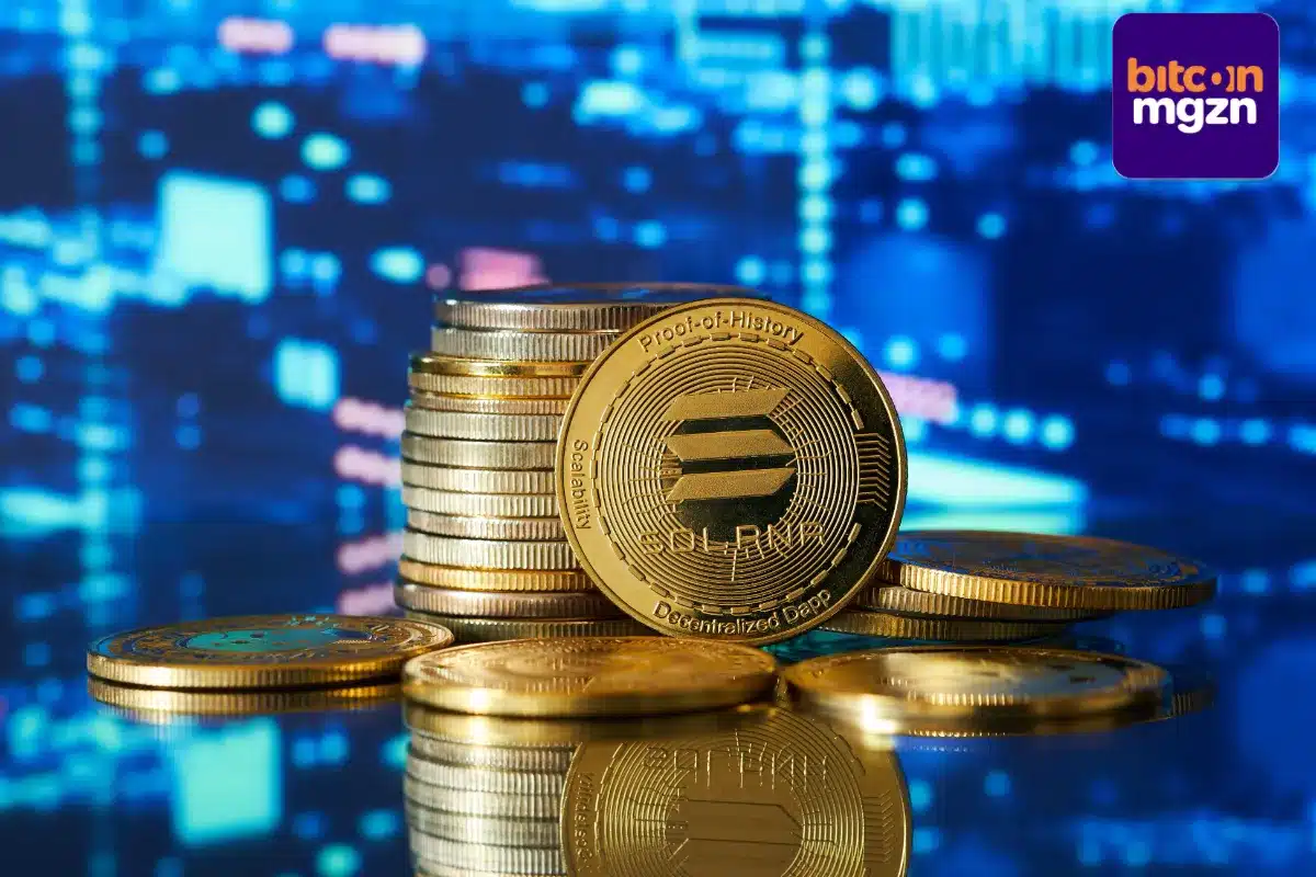 "Market Jitters: Will Whale Moves Affect Solana s Future?"