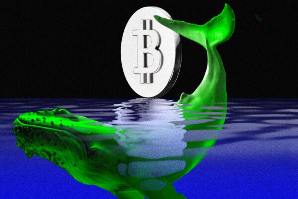 Local Trader Defies Market Odds, Nets $17 Million in Cryptocurrency Wins Local Trader Defies Market Odds, Nets $17 Million in Cryptocurrency Wins