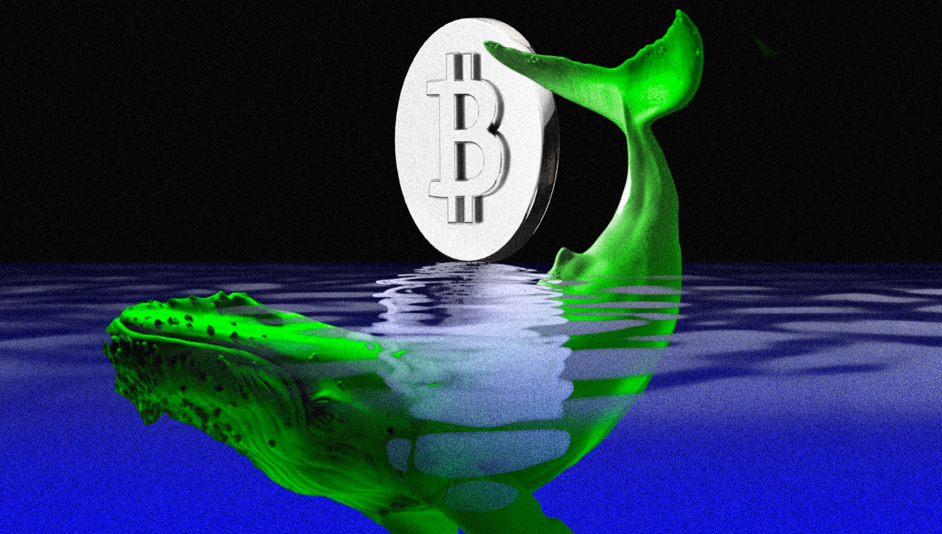 Local Trader Defies Market Odds, Nets $17 Million in Cryptocurrency Wins