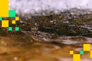 Local Crypto Market Faces $584 Million Liquidation Amid Fragile Sentiment