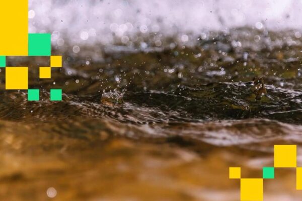 Local Crypto Market Faces $584 Million Liquidation Amid Fragile Sentiment