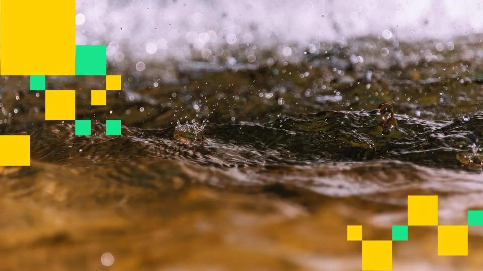 Local Crypto Market Faces $584 Million Liquidation Amid Fragile Sentiment