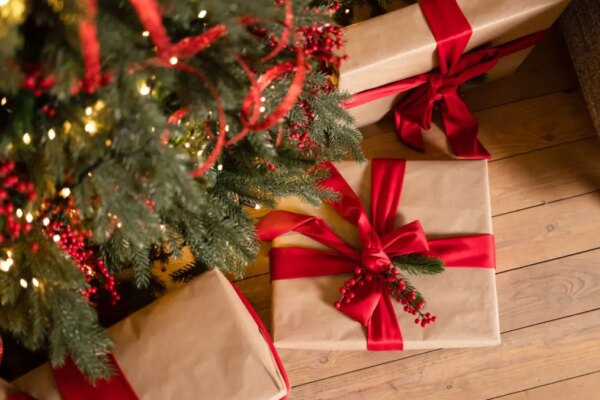 Unlocking Crypto: Thoughtful Book Gifts for the Holidays