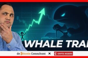 Bitcoin Under Pressure: Can It Avoid the Drop Below $20,000?