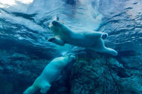 Bitcoin Dips Below $82K: Traders Brace for Market Uncertainty